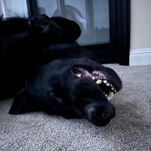 Meet your Posher, Jeffrey